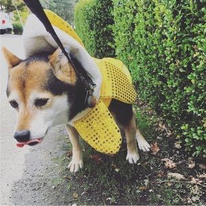 Banana Sparkle Costume Medium